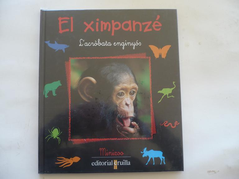 El Ximpanzé: l'acròbata enginyós
