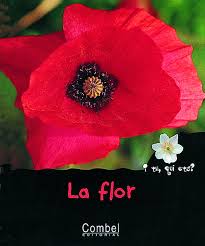 La flor